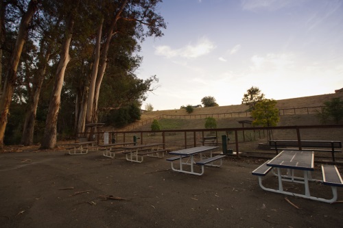 Ohlone Picnic Tables