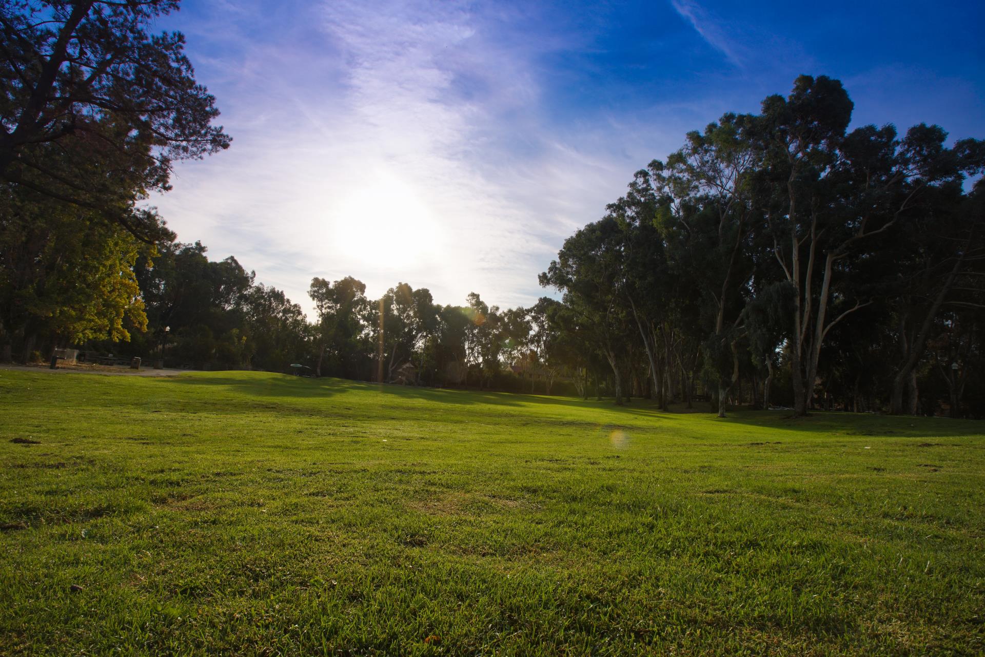 Refugio Valley Park Field View