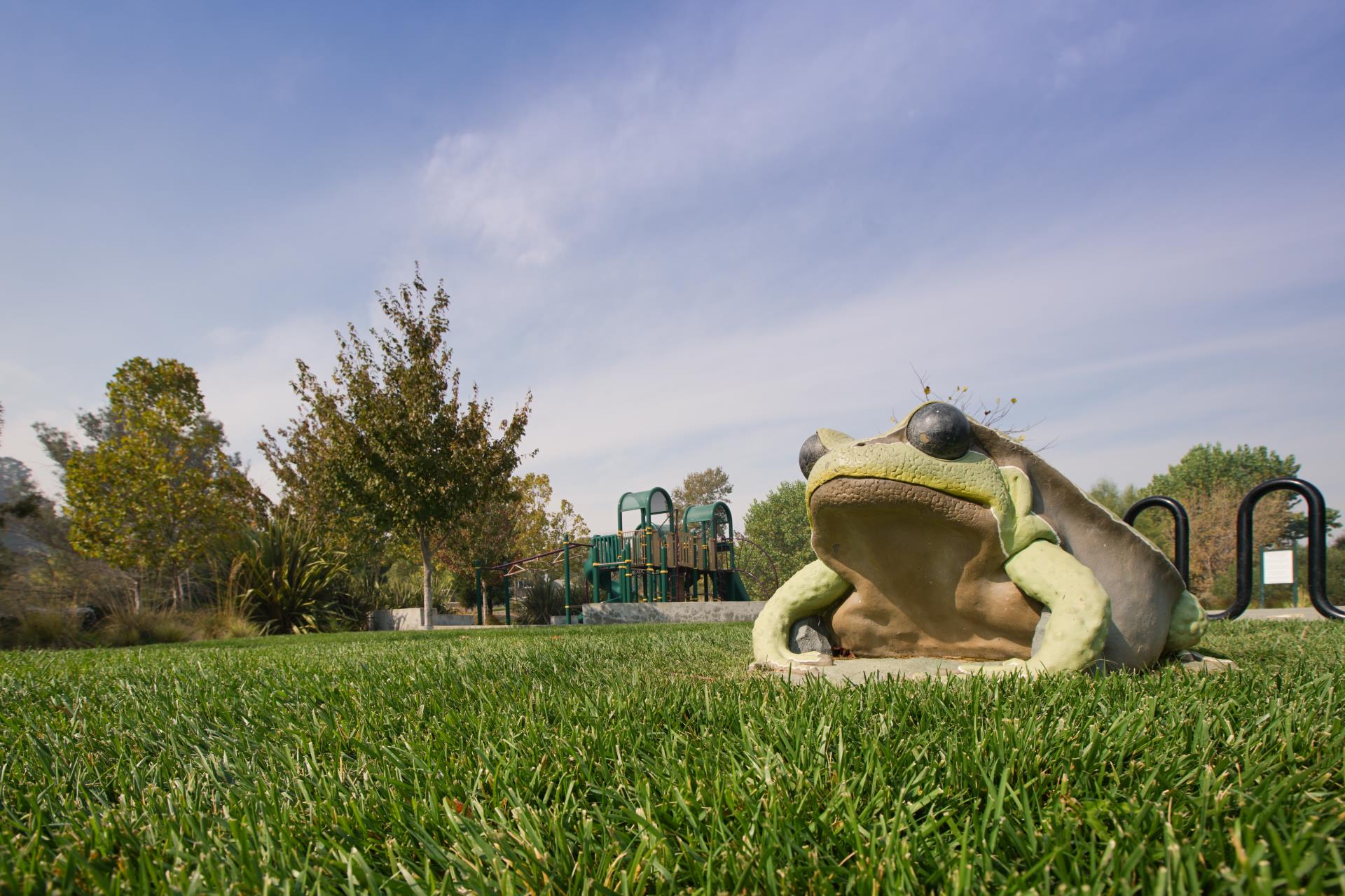 Frog Pad Park 