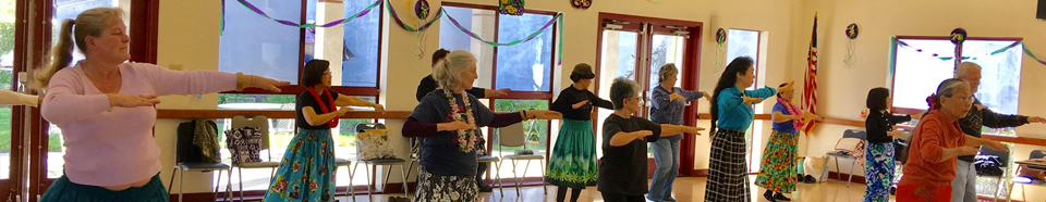 Seniors Hula