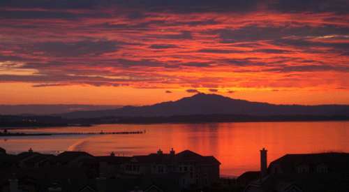 Waterfront Sunset