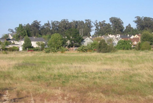 Homes near Chelsea Wetlands