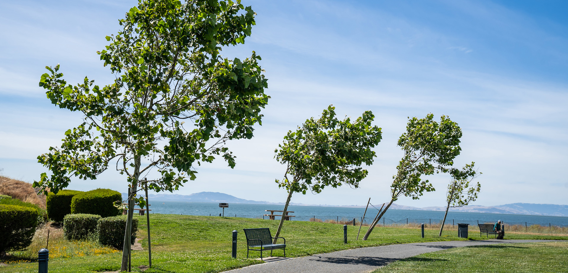 Shoreline Park