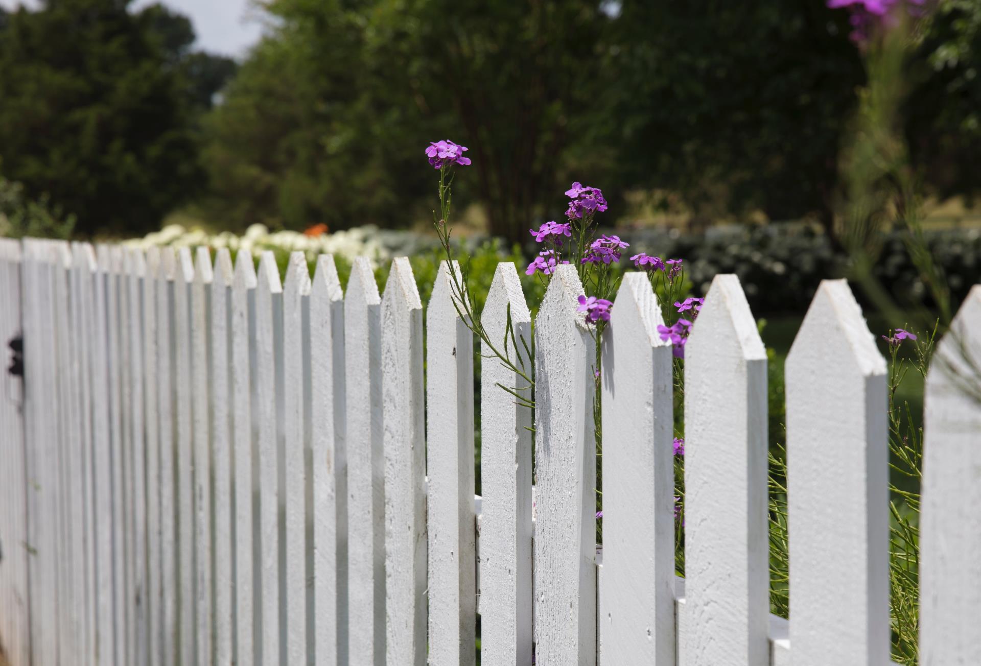 Fence Image