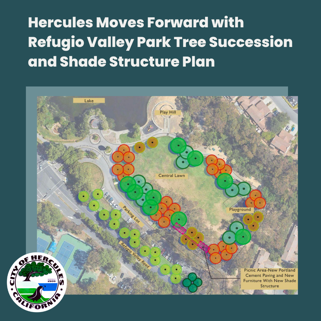 Hercules Moves Forward with Refugio Valley Tree Succession and Shade Structure Plan IGFB