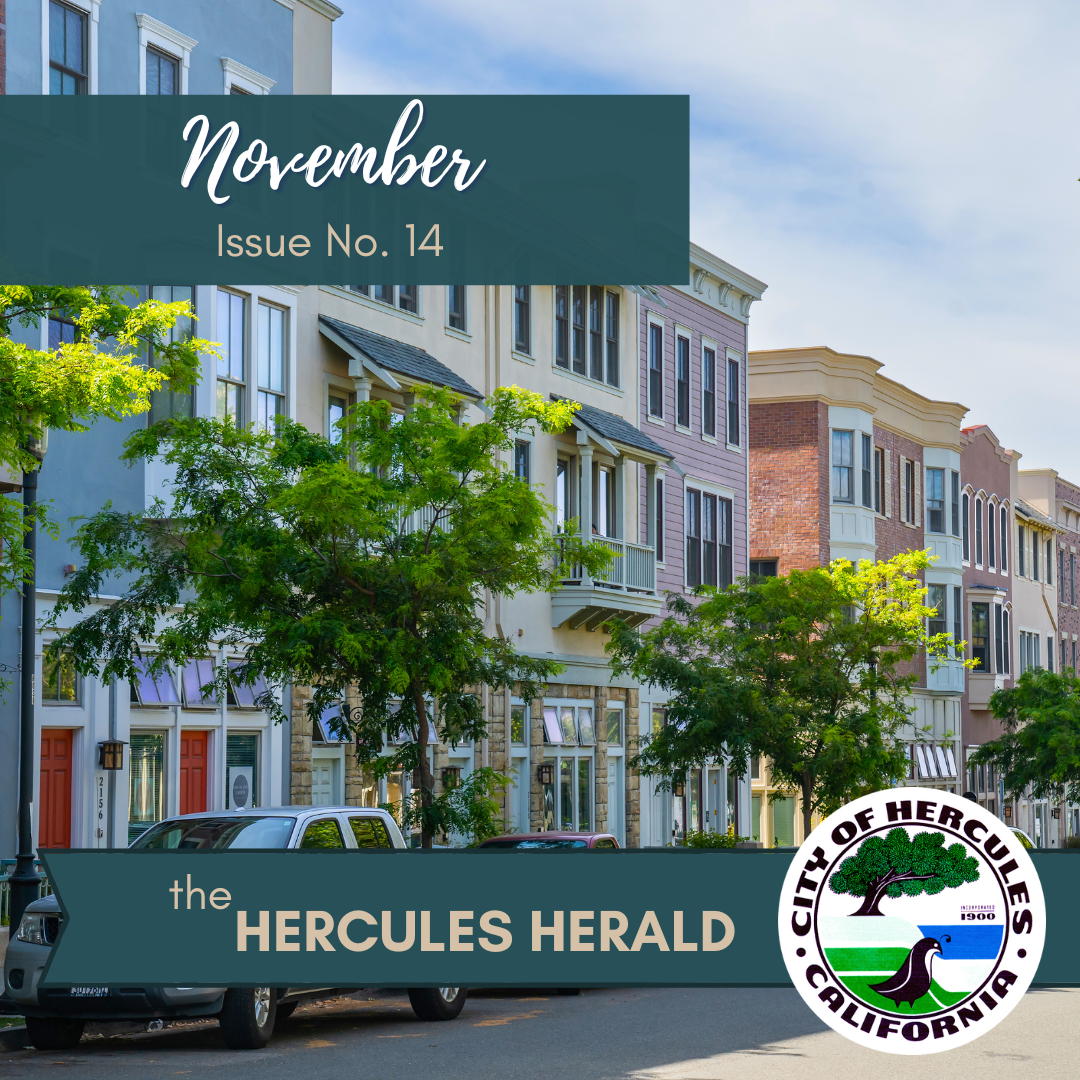 Hercules Herald November